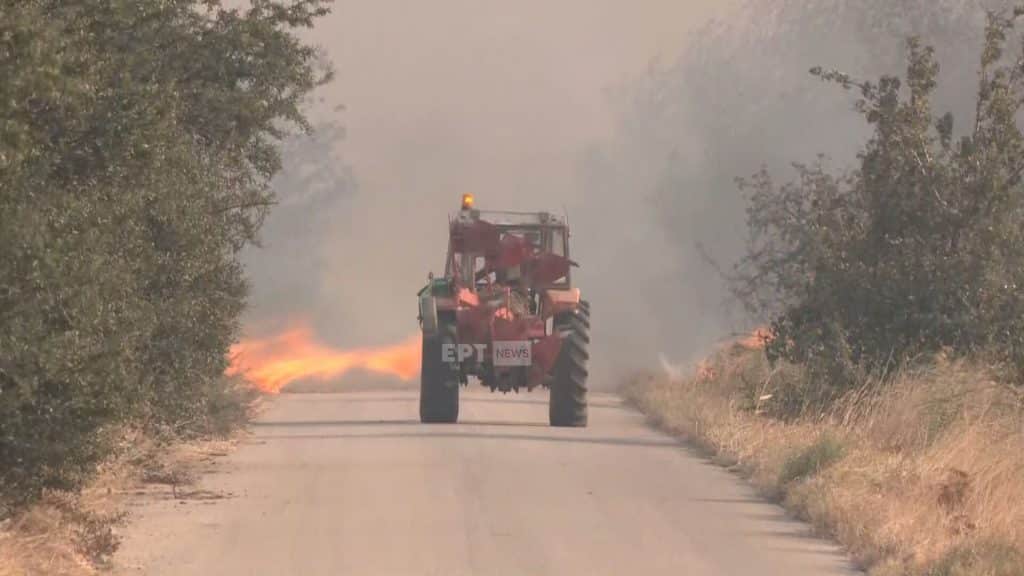 Φωτιά στη Βοιωτία: Μήνυμα του 112 σε Περιστερά και Άγιο Νικόλαο Φωτιά στη Βοιωτία: Μήνυμα του 112 σε Περιστερά και Άγιο Νικόλαο