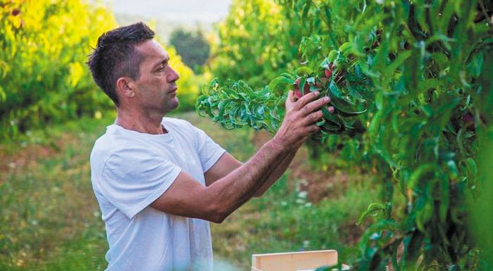 Έρχεται εξόφληση 60 εκατ. ευρώ για το 2022 και προκαταβολή 180 εκατ. ευρώ για το 2023 Έρχεται εξόφληση 60 εκατ. ευρώ για το 2022 και προκαταβολή 180 εκατ. ευρώ για το 2023