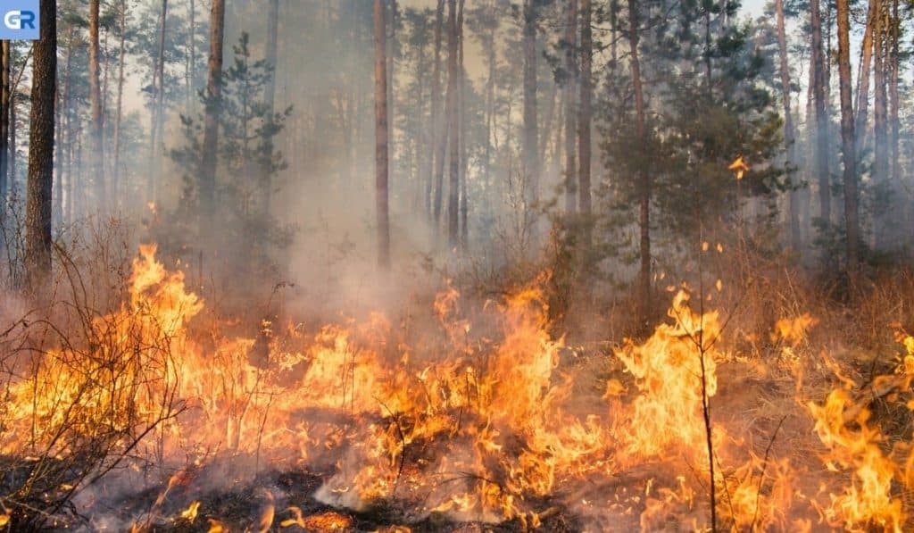 Κύπρος: Σε ύφεση η φωτιά στη Λεμεσό – Δύο Canadair στέλνει η Ελλάδα