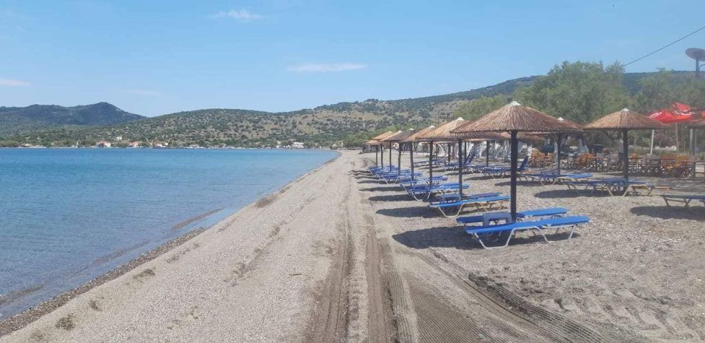 Αττική: Δείτε ποιες είναι οι πιο καθαρές παραλίες – Διαδραστικός χάρτης Αττική: Δείτε ποιες είναι οι πιο καθαρές παραλίες – Διαδραστικός χάρτης