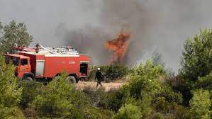 Ηλεία: Πυρκαγιά σε αγροτοδασική έκταση στη Σέκουλα