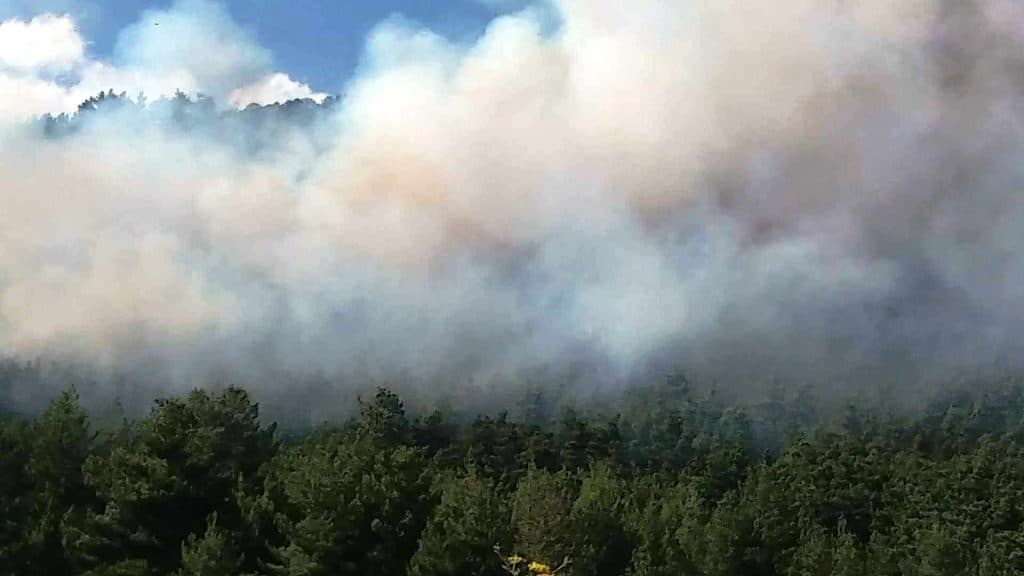 Σύλληψη για εμπρησμό στη Νέα Μάκρη – Άνδρας στόχευε σε δάσος του Αγίου Ανδρέα