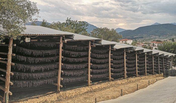 Χωρίς πυξίδα η Κορινθιακή Σταφίδα για τρίτη χρονιά Χωρίς πυξίδα η Κορινθιακή Σταφίδα για τρίτη χρονιά
