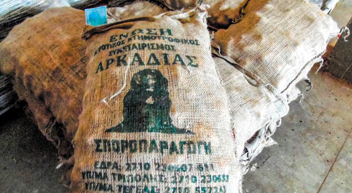 Ικανοποιημένοι όσοι έσπειραν πατάτα στην Αρκαδία Ικανοποιημένοι όσοι έσπειραν πατάτα στην Αρκαδία
