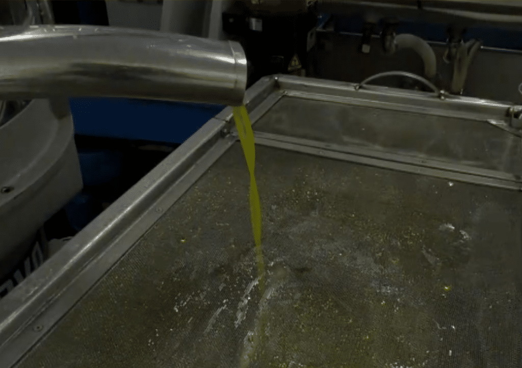 Σε απόγνωση οι ελαιοπαραγωγοί της Λέσβου για την ακαρπία στην ελιά