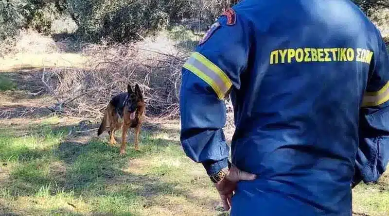 Εξαφανίστηκε γυναίκα από το σπίτι της στην Ανατολική Φθιώτιδα Εξαφανίστηκε γυναίκα από το σπίτι της στην Ανατολική Φθιώτιδα
