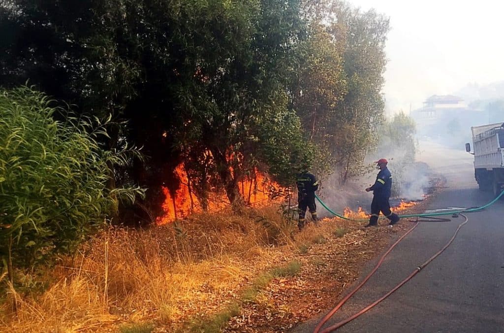 Πυρκαγιά σε δασική έκταση στην Αρσινόη Μεσσηνίας