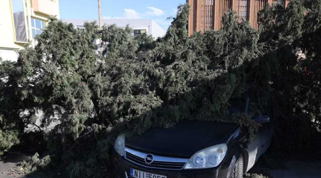 Θεσσαλονίκη: 150 κλήσεις δέχθηκε η Πυροσβεστική – Στα 106 χλμ./ώρα οι ριπές του ανέμου Θεσσαλονίκη: 150 κλήσεις δέχθηκε η Πυροσβεστική – Στα 106 χλμ./ώρα οι ριπές του ανέμου
