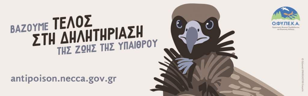 Αλεξανδρούπολη: Σε εξέλιξη πανελλήνια εκστρατεία ενημέρωσης για τα δημητηριασμένα δολώματα