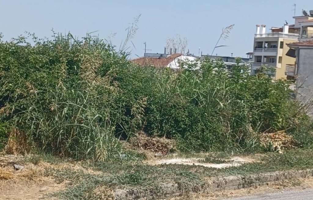 Ακαθάριστα οικόπεδα: Παρατείνεται η προθεσμία για τις δηλώσεις στην πλατφόρμα – Όλες οι λεπτομέρειες Ακαθάριστα οικόπεδα: Παρατείνεται η προθεσμία για τις δηλώσεις στην πλατφόρμα – Όλες οι λεπτομέρειες