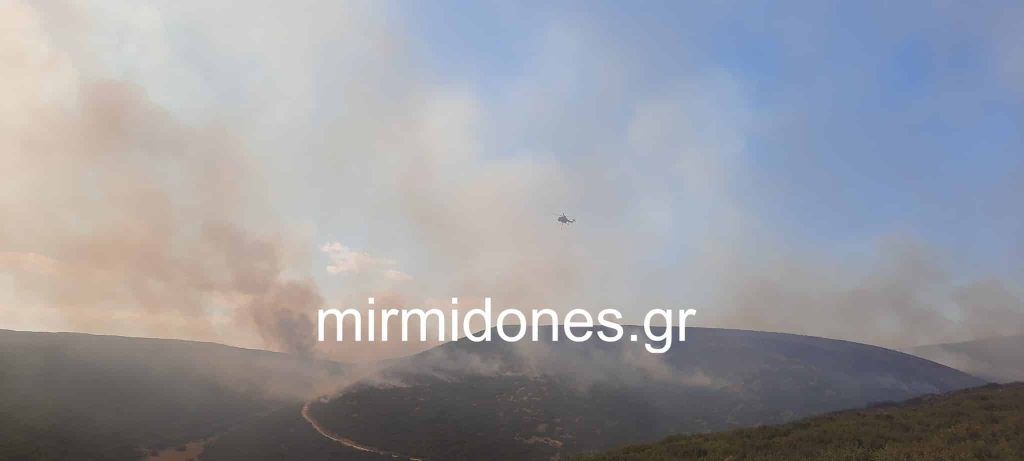 Προφυλακιστέος  κρίθηκε ο 29χρονος για πυρκαγιές από πρόθεση στο Πετρωτό Δομοκού