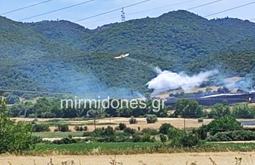 Φωτιά ξέσπασε ανάμεσα στον Άγιο Γεώργιο Δομοκού και στο Καλαμάκι – Σηκώθηκαν εναέρια μέσα Φωτιά ξέσπασε ανάμεσα στον Άγιο Γεώργιο Δομοκού και στο Καλαμάκι – Σηκώθηκαν εναέρια μέσα