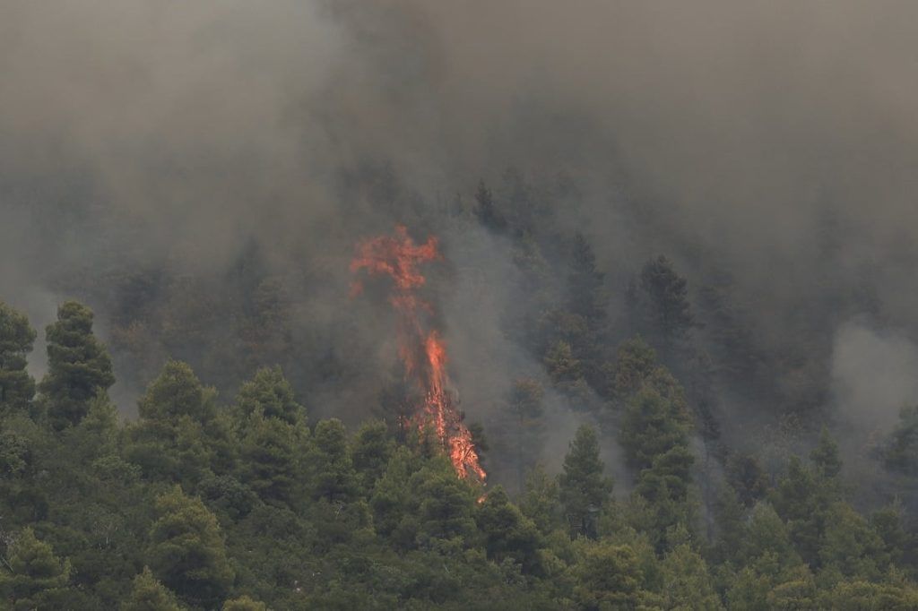 Συνελήφθη 29χρονος για την πυρκαγιά στο Πετρωτό Δομοκού Συνελήφθη 29χρονος για την πυρκαγιά στο Πετρωτό Δομοκού