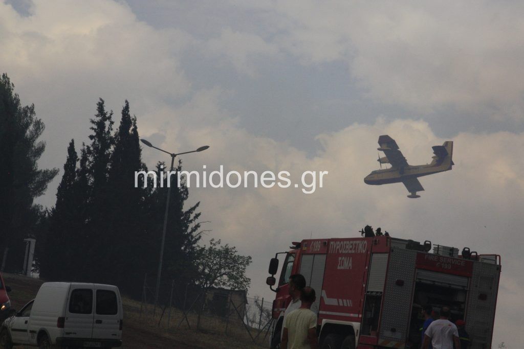 Φωτιά στη Κορομηλιά Δομοκού : Συνελήφθησαν τρία άτομα για την πυρκαγιά