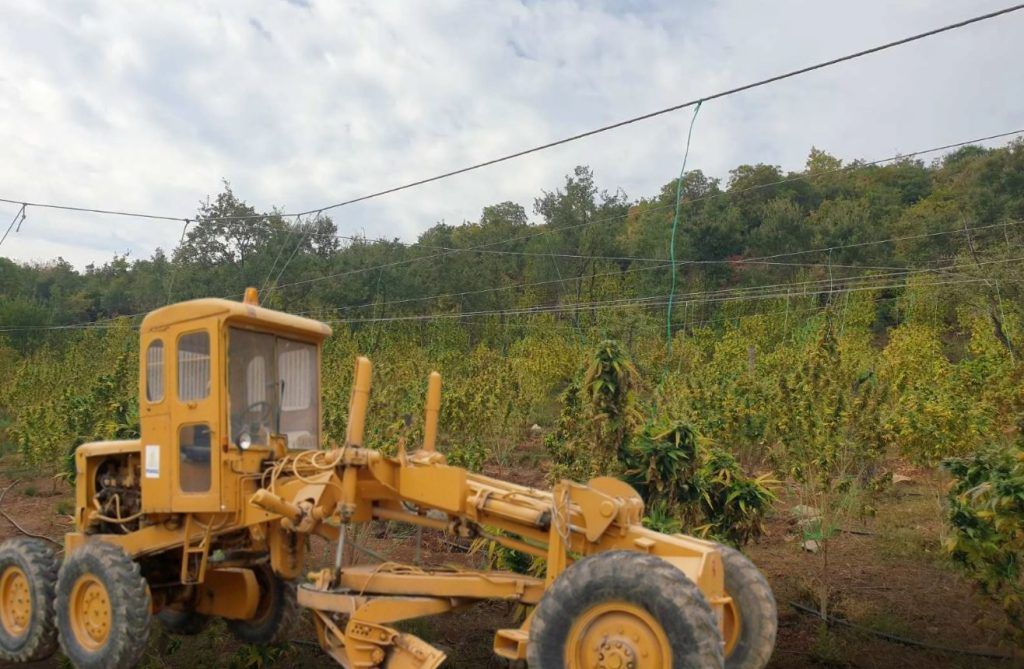Έρευνα για το δημοτικό μηχάνημα στη χασισοφυτεία μαμούθ» στη Γαύριανη, ζητάει ο δήμος Αλμυρού Έρευνα για το δημοτικό μηχάνημα στη χασισοφυτεία μαμούθ» στη Γαύριανη, ζητάει ο δήμος Αλμυρού