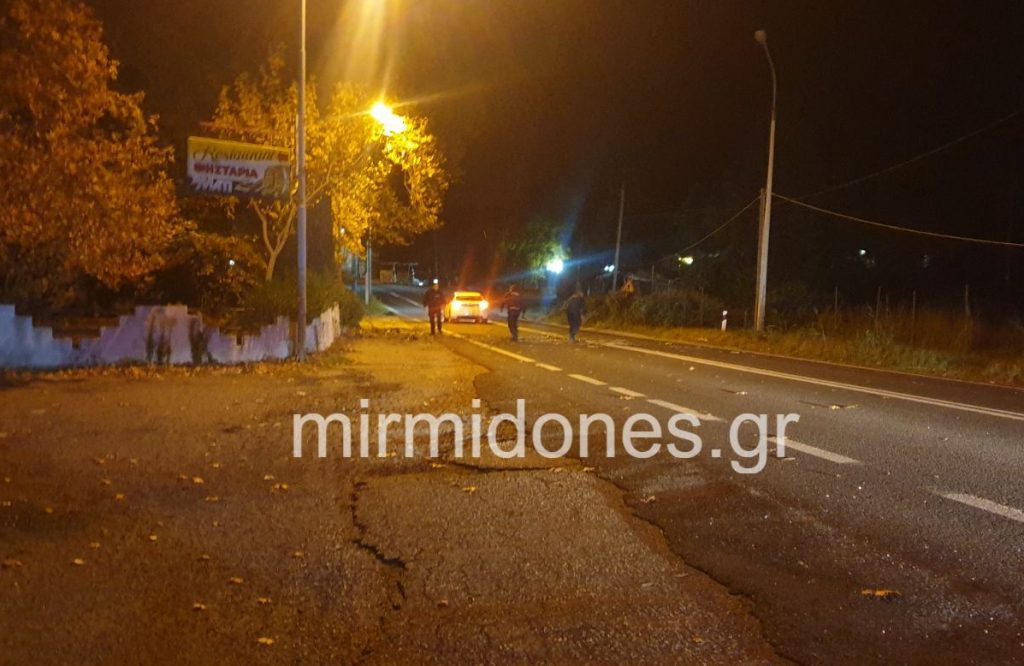 Δομοκός : Έπεσαν δέντρα και κλαδιά από τους θυελλώδεις ανέμους