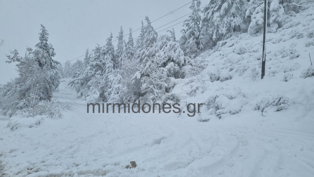 Μαγευτικές εικόνες από τον χιονισμένο Δομοκό! (Φωτογραφίες)