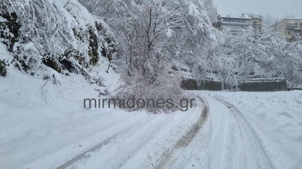 Πυκνή χιονόπτωση εχθές στο Δομοκό πρόσθεσε φρέσκο χιόνι 10-15 πόντους. Πυκνή χιονόπτωση εχθές στο Δομοκό πρόσθεσε φρέσκο χιόνι 10-15 πόντους.