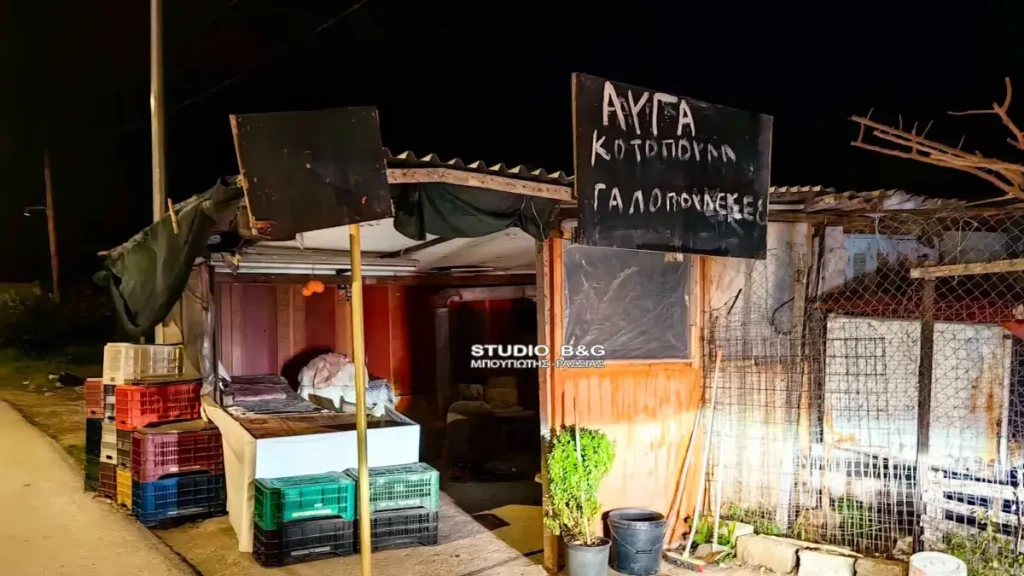 Ναύπλιο: Προσπάθησε να ληστέψει 72χρονη και τον μαχαίρωσε – Βρέθηκε νεκρός σε πορτοκαλεώνα