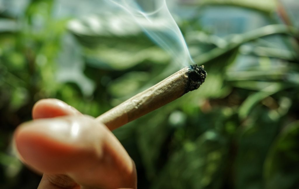 Κάνναβη: Νέα μεγάλη μελέτη δείχνει ότι μειώνει την εγκεφαλική δραστηριότητα