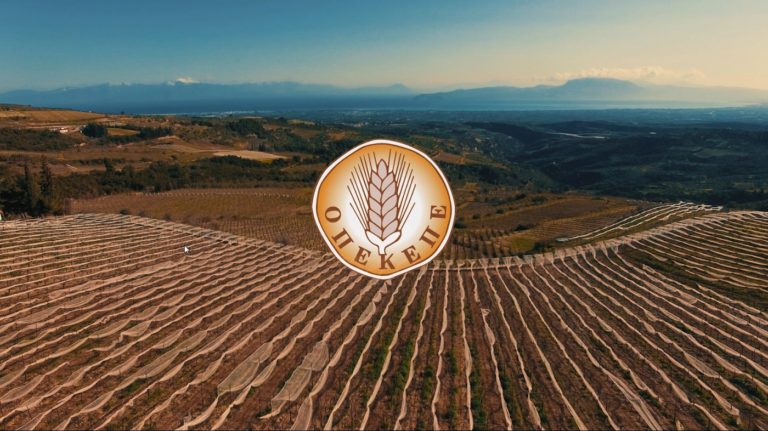 ΟΠΕΚΕΠΕ: Νέες πληρωμές σε χιλιάδες – Ποιοι παίρνουν χρήματα ΟΠΕΚΕΠΕ: Νέες πληρωμές σε χιλιάδες – Ποιοι παίρνουν χρήματα