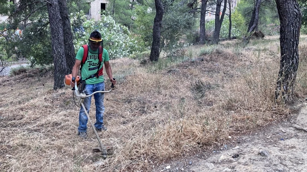 Τρέχουν να δηλώσουν καθαρισμούς οικοπέδων – 82.000 αιτήσεις σε 10 μέρες