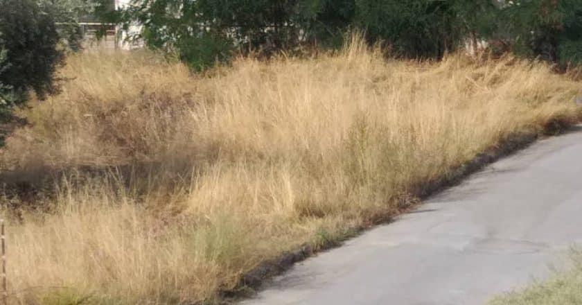 Ακαθάριστα Οικόπεδα: Στις 15 Ιουνίου Εκπνέει η Προθεσμία – Έρχονται Βαριά Πρόστιμα Ακαθάριστα Οικόπεδα: Στις 15 Ιουνίου Εκπνέει η Προθεσμία – Έρχονται Βαριά Πρόστιμα