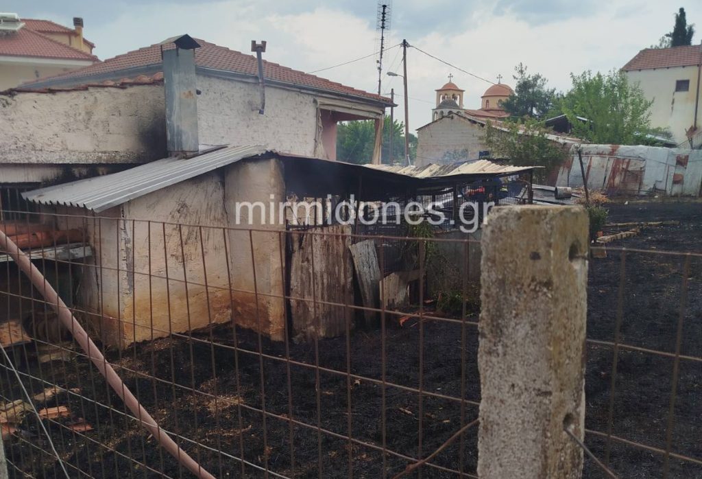 Φωτιά σε οικόπεδο με κατοικία στην Κορομηλιά Δομοκού – Άμεση επέμβαση της Πυροσβεστικής Φωτιά σε οικόπεδο με κατοικία στην Κορομηλιά Δομοκού – Άμεση επέμβαση της Πυροσβεστικής