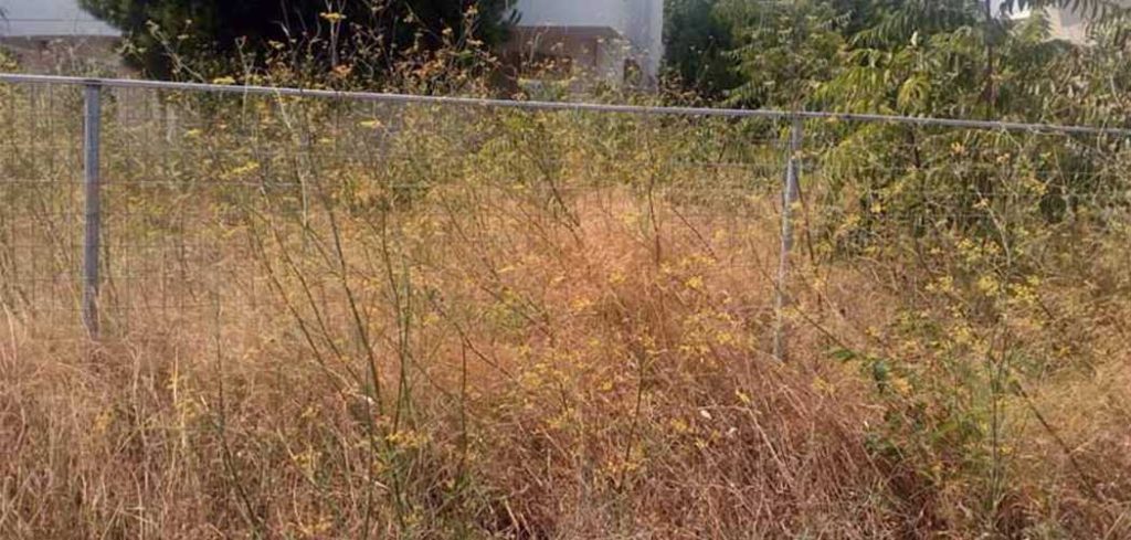 Λαμία : Πρόστιμο 1.000€ για ακαθάριστο οικόπεδο