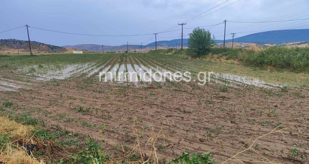 Ερώτηση του ΠΑΣΟΚ στη Βουλή για τις καταστροφές από τη Χαλαζόπτωση στον Δομοκό