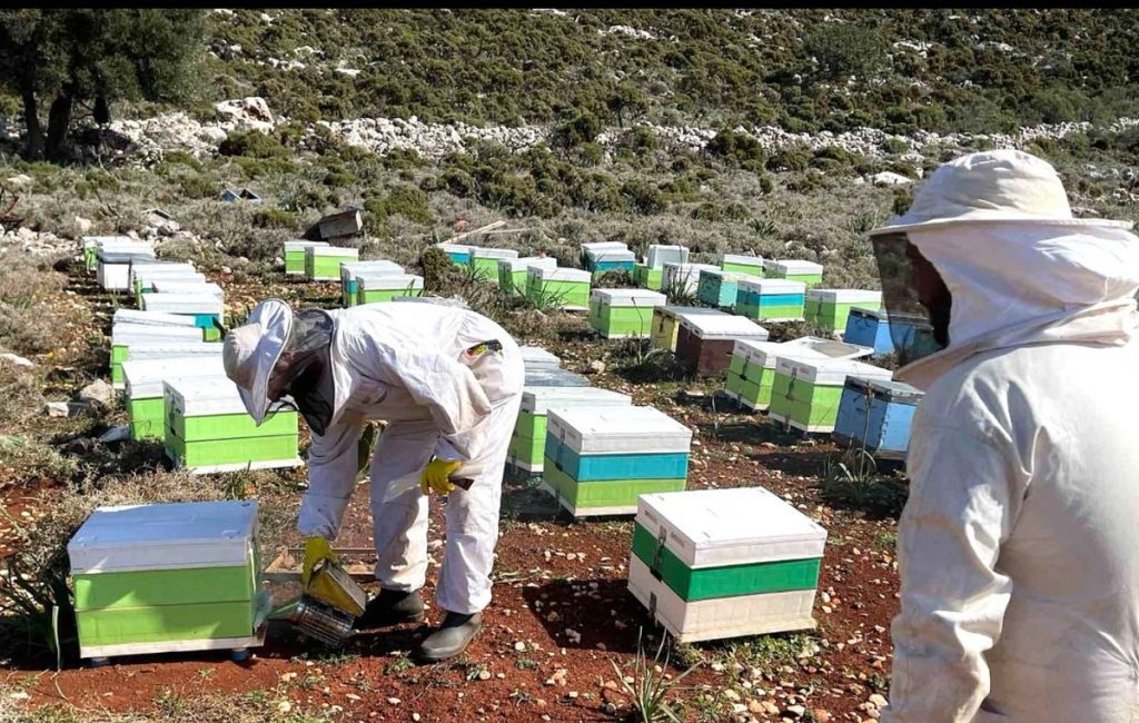 Η InterMed στηρίζει τη μελισσοκομία στο Καστελλόριζο