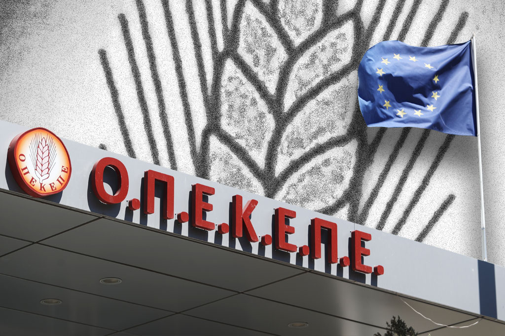 Άμεση εισαγγελική παρέμβαση για τα κληροδοτήματα μετά τις δηλώσεις Τζανακούλη ζητά ο Κόκκαλης Άμεση εισαγγελική παρέμβαση για τα κληροδοτήματα μετά τις δηλώσεις Τζανακούλη ζητά ο Κόκκαλης