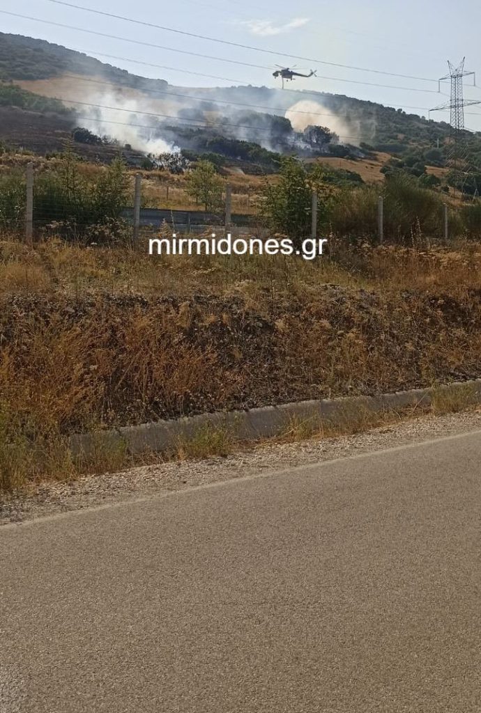 Δομοκός: Φωτιά μεταξύ Αγίου Στεφάνου και Περιβολίου (Φωτογραφίες & Βίντεο)