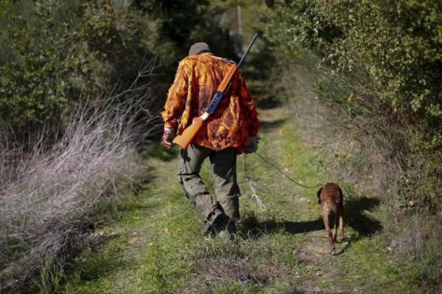57χρονος κυνηγός νεκρός στο Χρυσοχώρι Γορτυνίας – Δέχθηκε πυρά από άλλο κυνηγό 57χρονος κυνηγός νεκρός στο Χρυσοχώρι Γορτυνίας – Δέχθηκε πυρά από άλλο κυνηγό