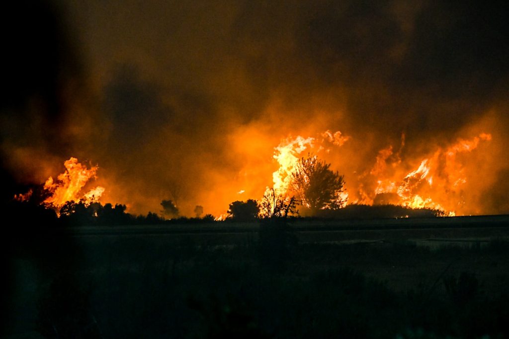Φωτιά στο Πετρωτό Δομοκού