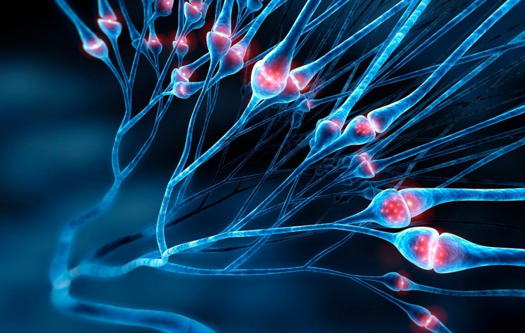 Angelini Pharma – Quiver Bioscience: Στρατηγική συνεργασία και συμφωνία αδειοδότησης για καινοτόμες θεραπείες στις γενετικές επιληψίες