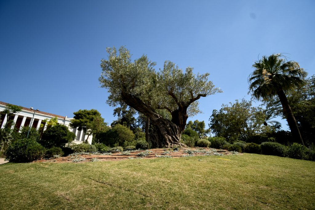 ΑΣΕΠ: Προσλήψεις 125 ατόμων στο Εθνικό Αρχαιολογικό Μουσείοροσλήψεις ΑΣΕΠ στο Εθνικό Αρχαιολογικό Μουσείο. Το Εθνικό Αρχαιολογικό Μουσείο γνωστοποιεί την πρόσληψη, με σύμβαση εργασίας ιδιωτικού δικαίου ορισμένου χρόνου, συνολικά 125 ατόμων για την κάλυψη αναγκών.