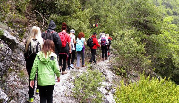 Ο Πολιτιστικός Σύλλογος Δομοκού μας καλεί σε μια μοναδική ανοιξιάτικη πεζοπορία! Ο Πολιτιστικός Σύλλογος Δομοκού μας καλεί σε μια μοναδική ανοιξιάτικη πεζοπορία!
