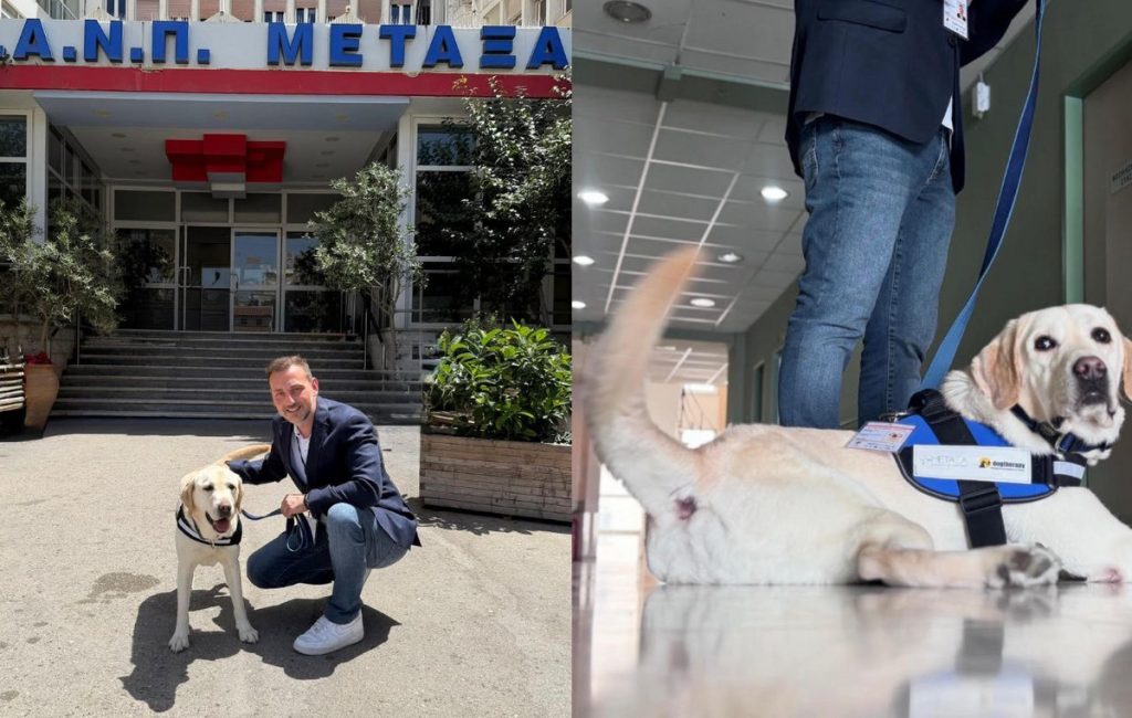 «Έπιασε δουλειά» στο νοσοκομείο «Μεταξά» ο πρώτος σκύλος θεραπείας