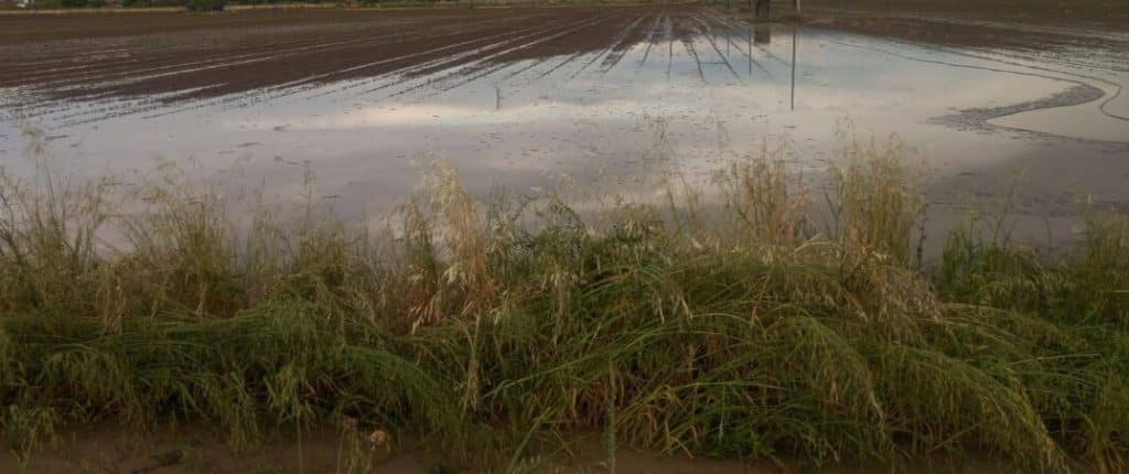 Μεγάλες ζημιές στον Παλαμά Δομοκού από τη χθεσινή βροχόπτωση – χαλαζόπτωση Μεγάλες ζημιές στον Παλαμά Δομοκού από τη χθεσινή βροχόπτωση – χαλαζόπτωση