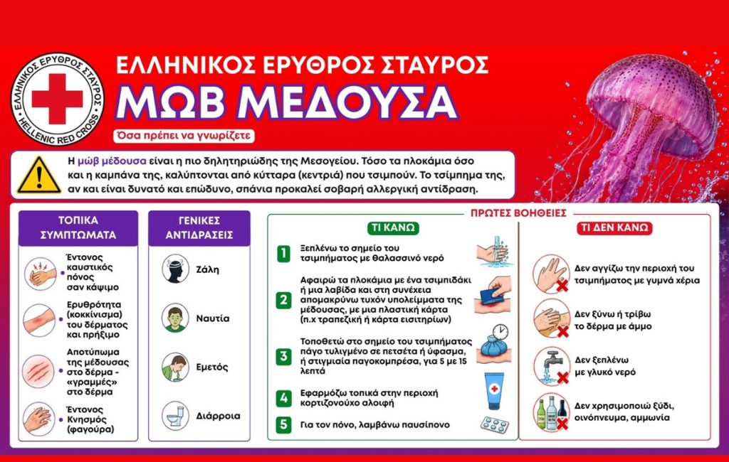 Καλοκαίρι με ασφάλεια: Τι να κάνετε αν σας τσιμπήσει μωβ μέδουσα