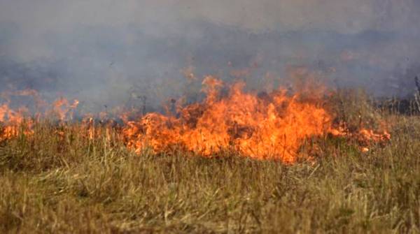 Πυροσβεστικό Κλιμάκιο Δομοκού: Μέχρι τις 11 το πρωί οι εργασίες με μηχανήματα που μπορεί να προκαλέσουν φωτιά από σπινθήρες Πυροσβεστικό Κλιμάκιο Δομοκού: Μέχρι τις 11 το πρωί οι εργασίες με μηχανήματα που μπορεί να προκαλέσουν φωτιά από σπινθήρες