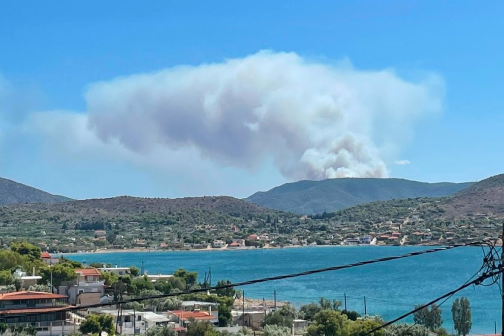 Φωτιά στη Σαλαμίνα: Διπλό πύρινο μέτωπο, κοντά σε σπίτια οι φλόγες – Μπαράζ μηνυμάτων 112 και εκκένωση διά θαλάσσης από Σελήνια και Κακή Βίγλα Φωτιά στη Σαλαμίνα: Διπλό πύρινο μέτωπο, κοντά σε σπίτια οι φλόγες – Μπαράζ μηνυμάτων 112 και εκκένωση διά θαλάσσης από Σελήνια και Κακή Βίγλα
